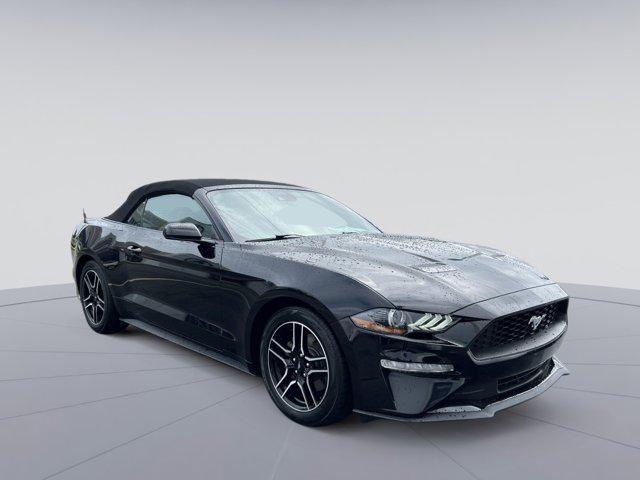 used 2023 Ford Mustang car, priced at $26,000