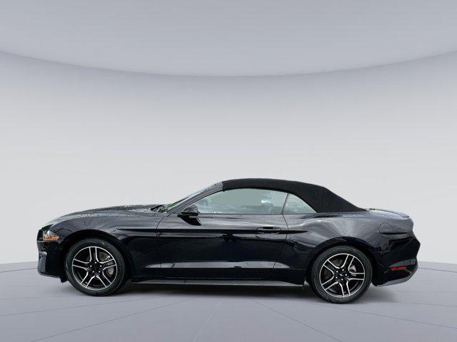 used 2023 Ford Mustang car, priced at $26,000