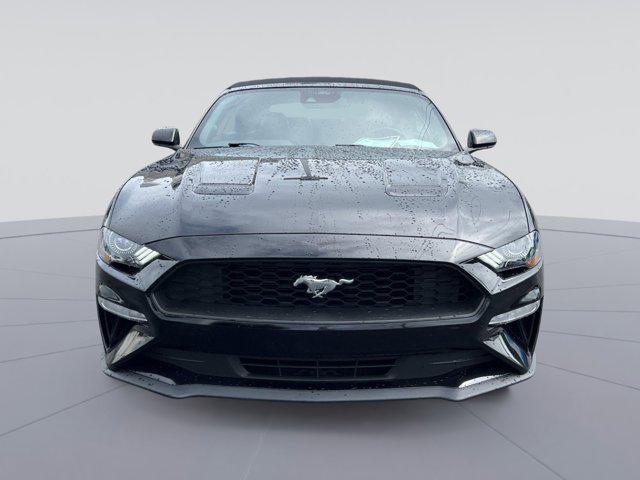 used 2023 Ford Mustang car, priced at $26,000