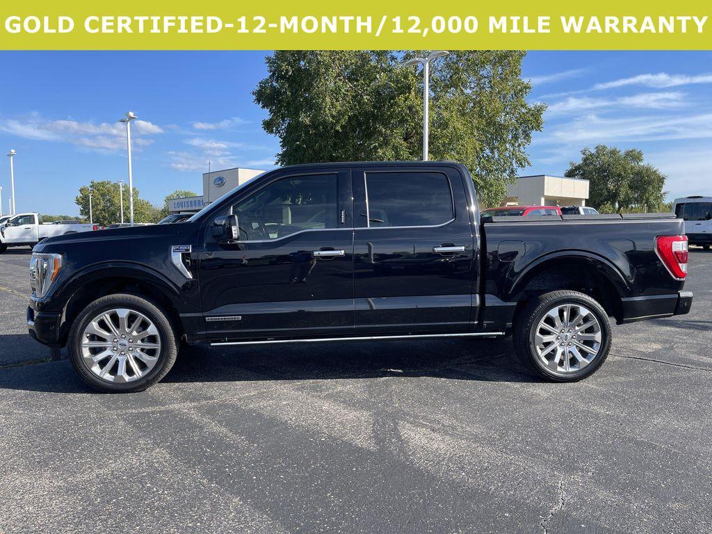 used 2023 Ford F-150 car, priced at $54,500