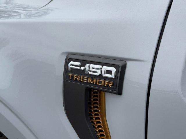 new 2025 Ford F-150 car, priced at $73,371