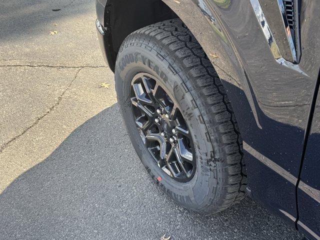 new 2025 Ford F-150 car, priced at $63,010
