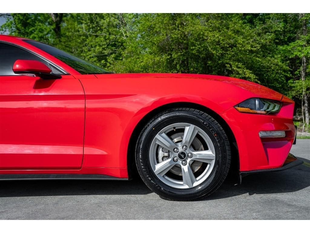 used 2019 Ford Mustang car, priced at $19,500