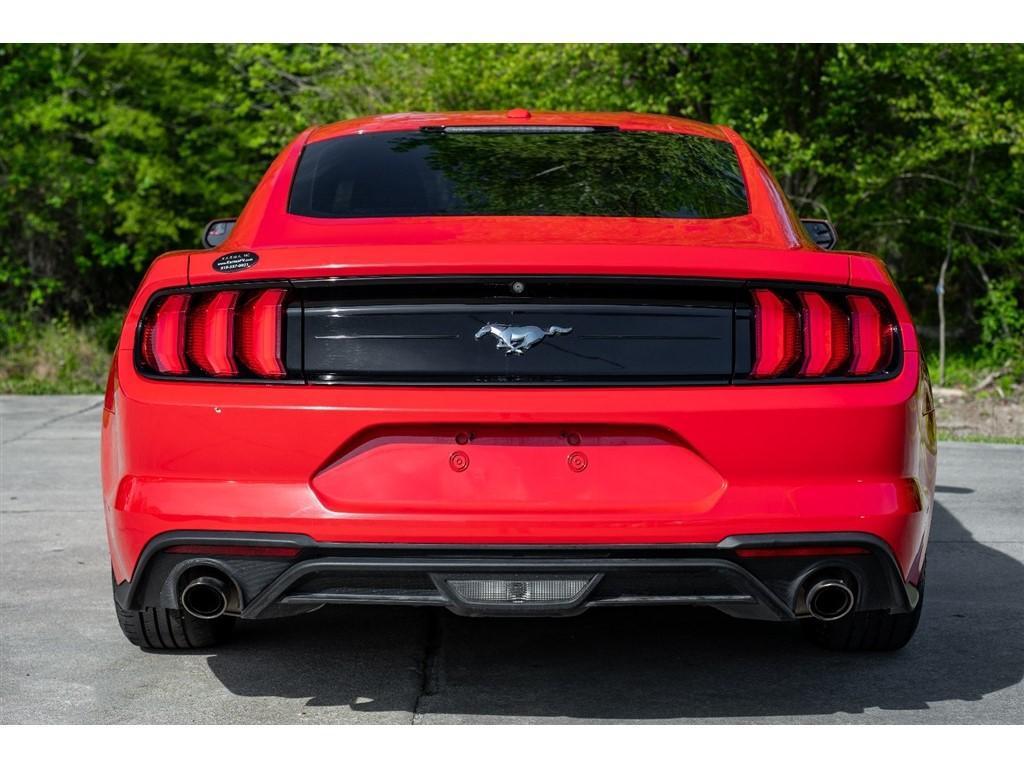 used 2019 Ford Mustang car, priced at $19,500