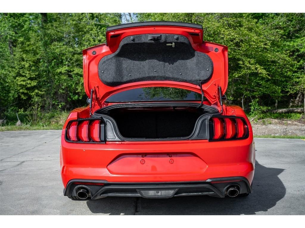 used 2019 Ford Mustang car, priced at $19,500