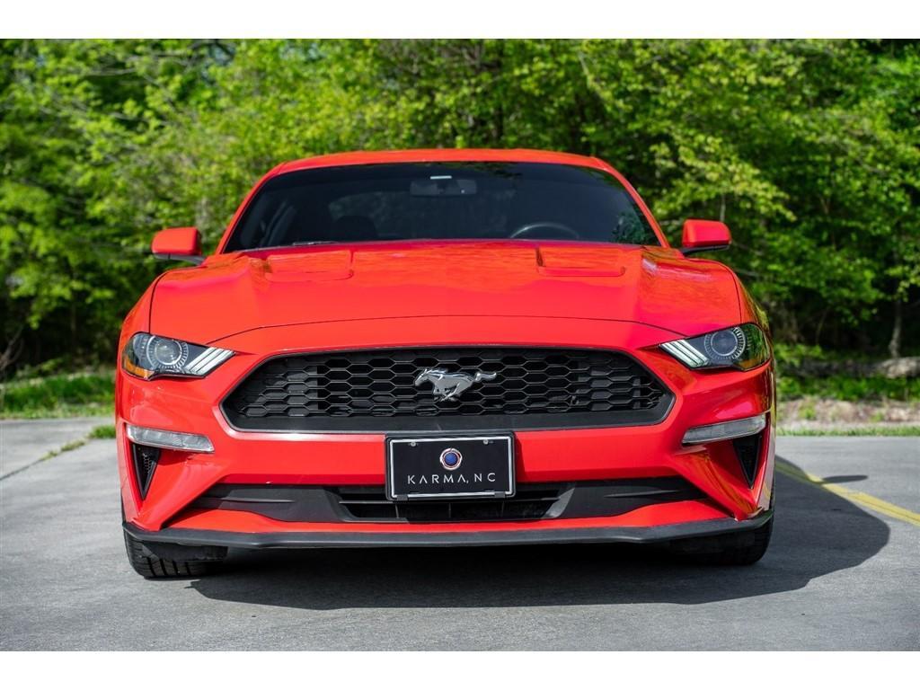 used 2019 Ford Mustang car, priced at $19,500