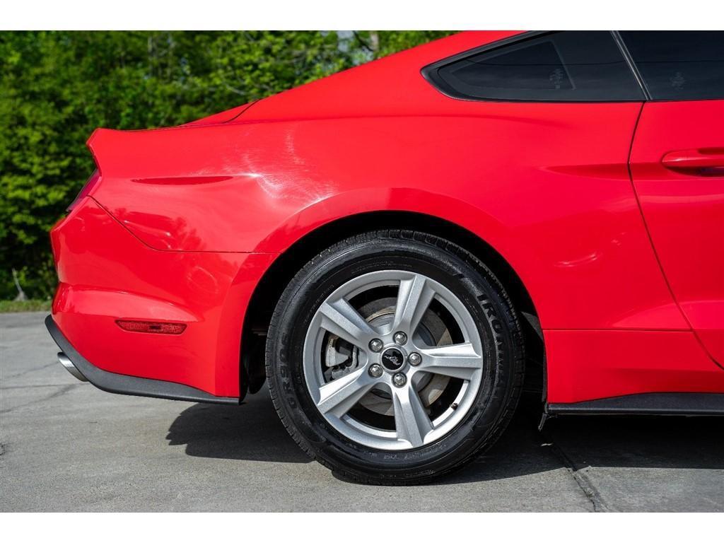 used 2019 Ford Mustang car, priced at $19,500