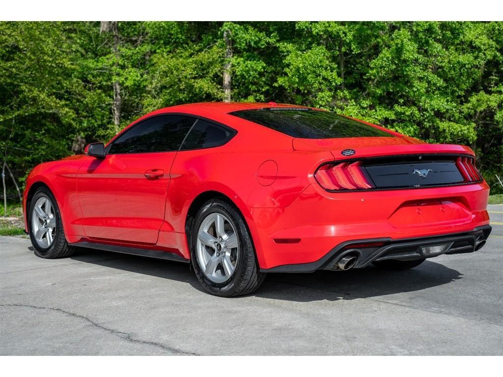 used 2019 Ford Mustang car, priced at $19,500