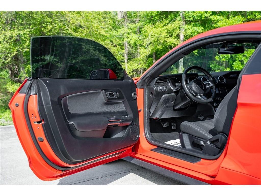 used 2019 Ford Mustang car, priced at $19,500