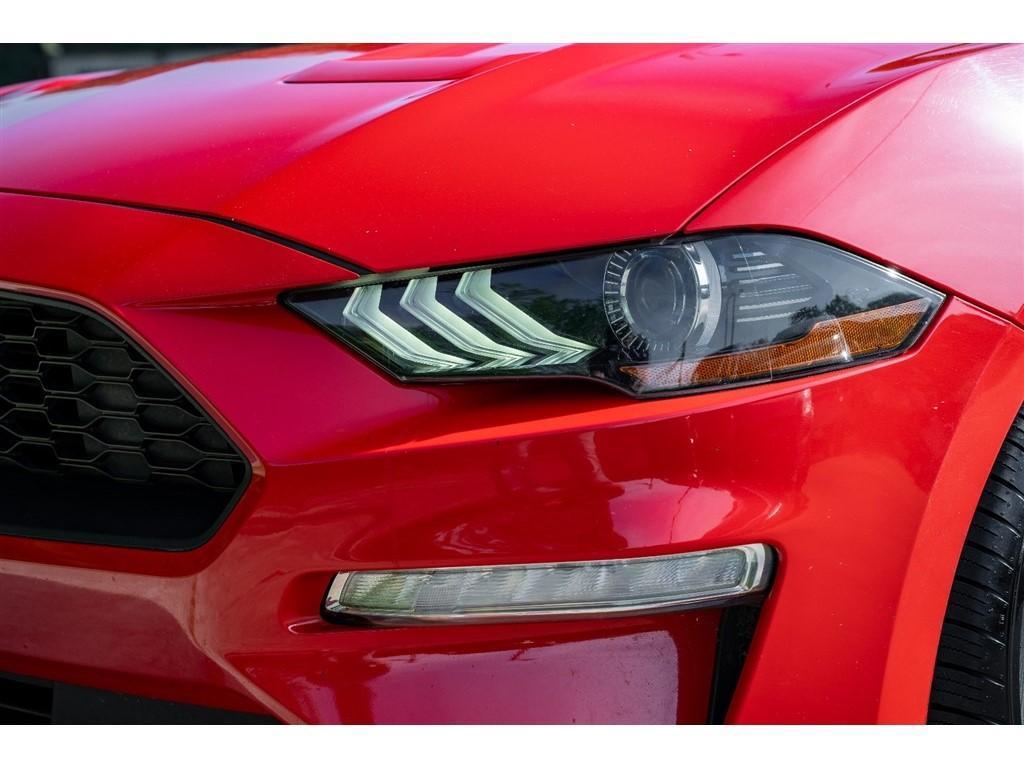 used 2019 Ford Mustang car, priced at $19,500