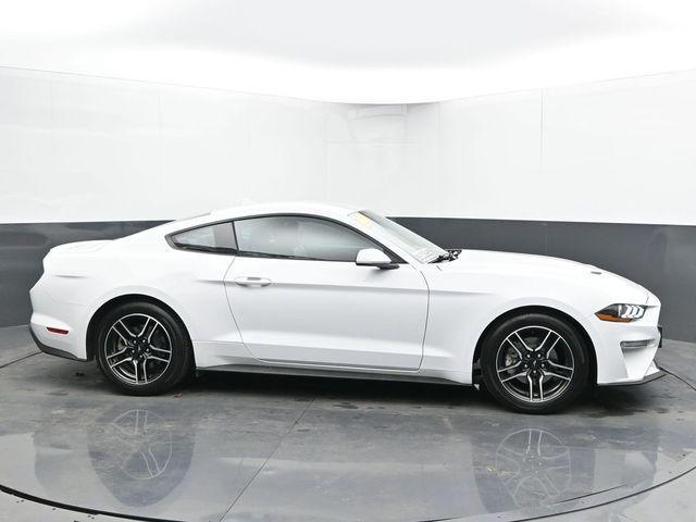 used 2023 Ford Mustang car, priced at $27,498