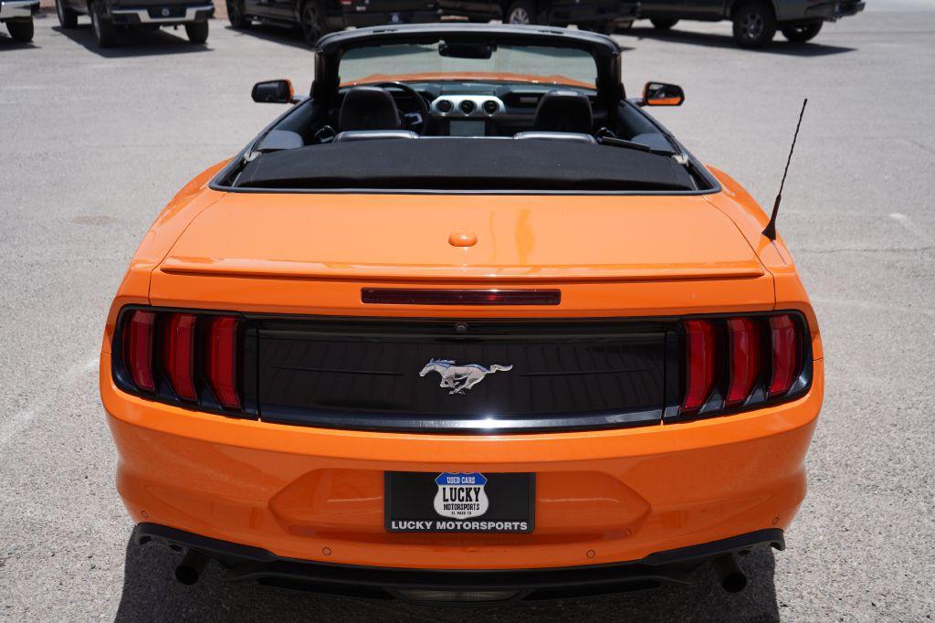 used 2021 Ford Mustang car, priced at $17,999