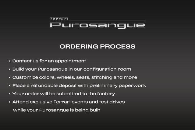 new 2024 Ferrari Purosangue car