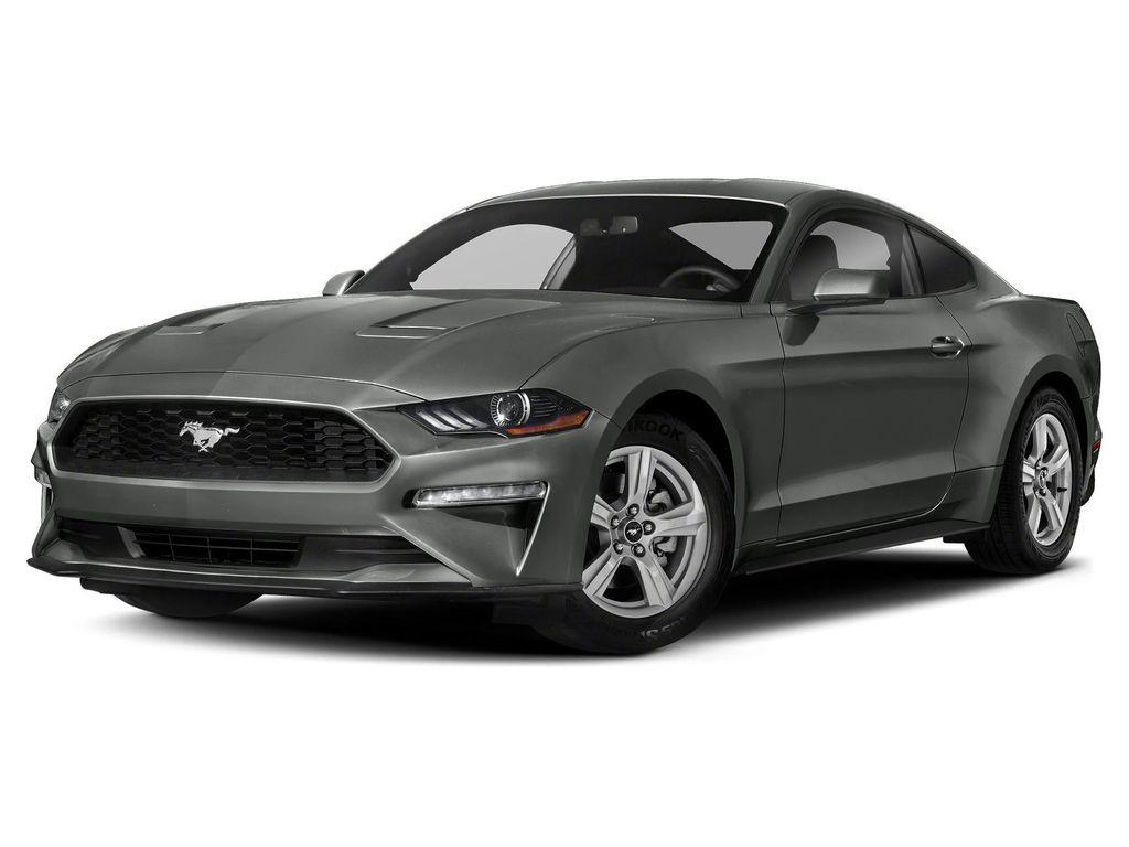 used 2019 Ford Mustang car