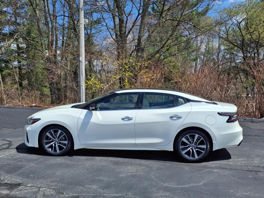 used 2020 Nissan Maxima car, priced at $19,999