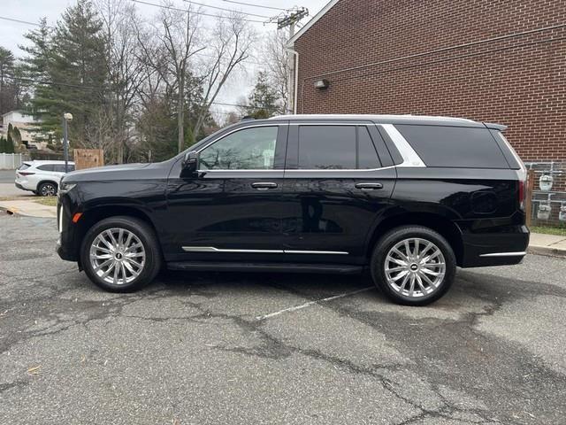 used 2023 Cadillac Escalade car, priced at $70,885