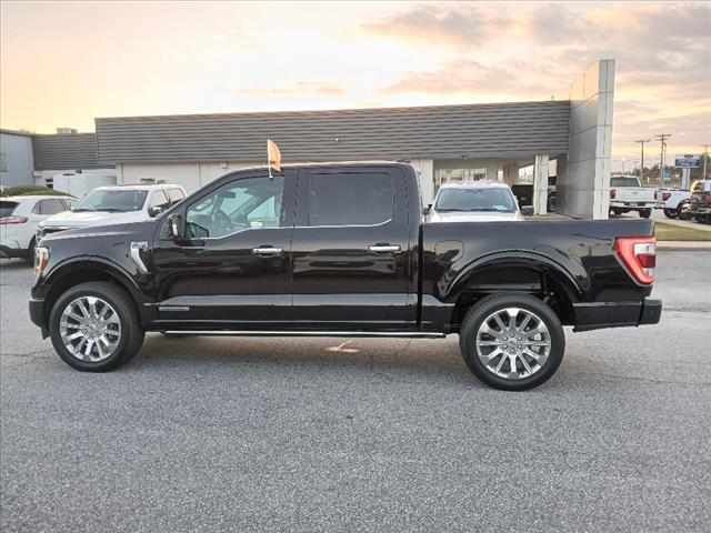 used 2023 Ford F-150 car, priced at $64,990