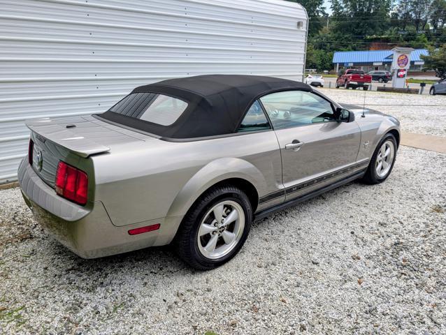 used 2009 Ford Mustang car, priced at $8,900