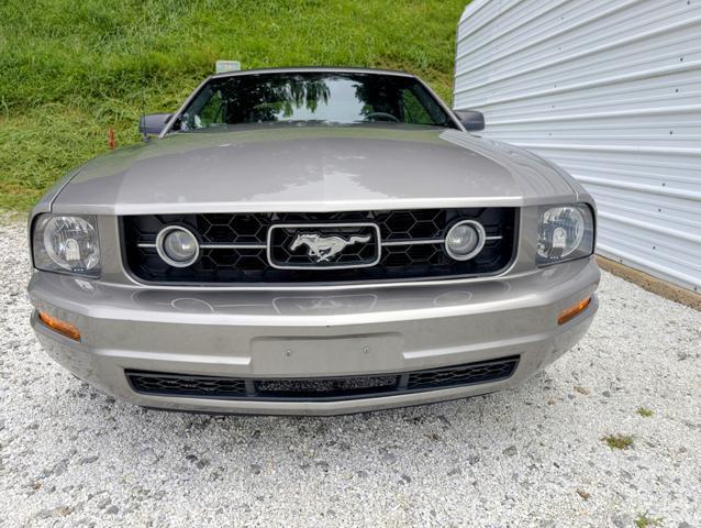 used 2009 Ford Mustang car, priced at $8,900