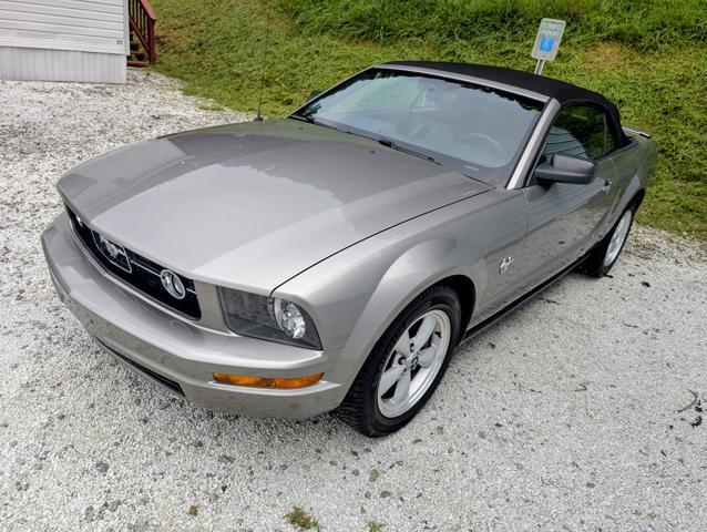 used 2009 Ford Mustang car, priced at $8,900