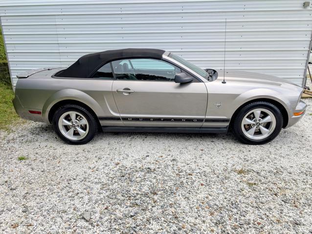used 2009 Ford Mustang car, priced at $8,900