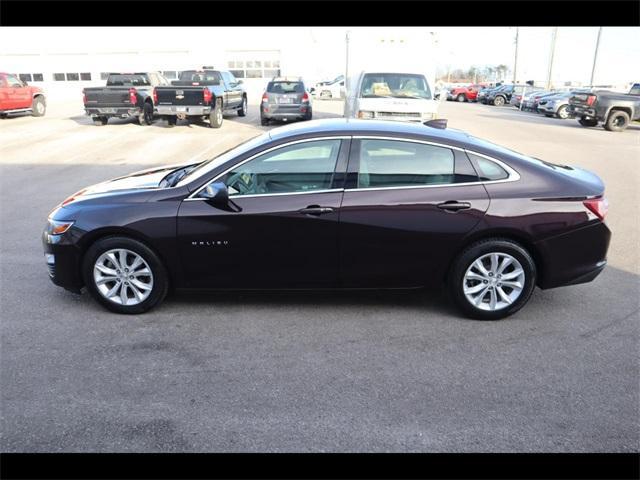 used 2020 Chevrolet Malibu car