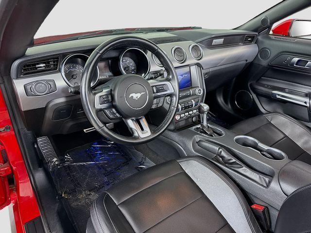 used 2023 Ford Mustang car