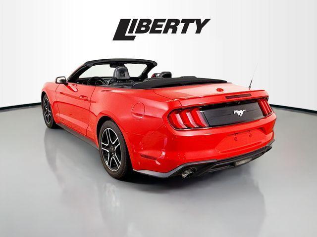 used 2023 Ford Mustang car