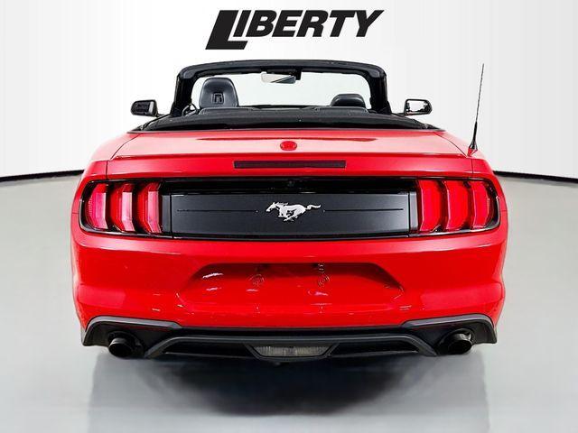 used 2023 Ford Mustang car