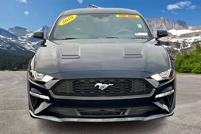 used 2019 Ford Mustang car, priced at $21,690