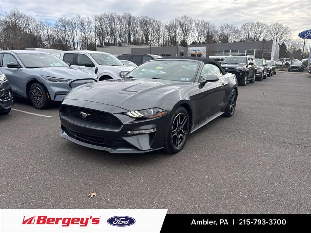 used 2019 Ford Mustang car, priced at $19,900