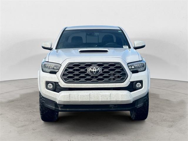 used 2023 Toyota Tacoma car