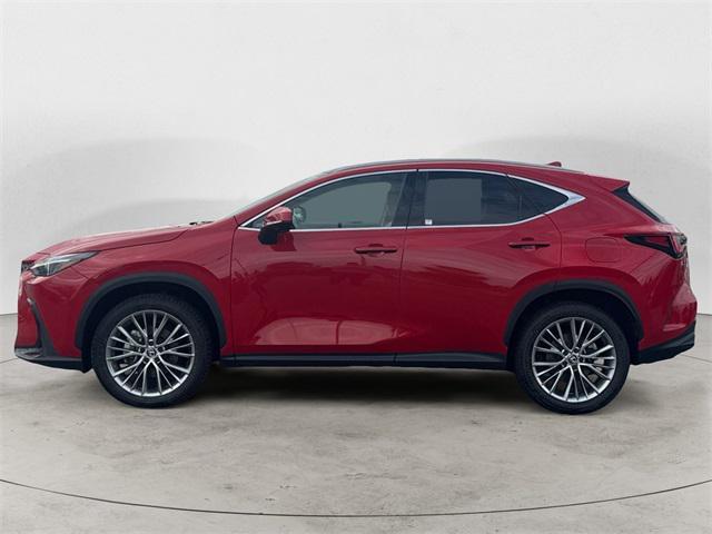 used 2024 Lexus NX 350 car, priced at $51,888
