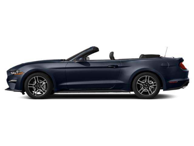 used 2019 Ford Mustang car, priced at $23,000
