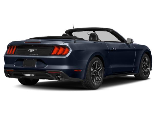 used 2019 Ford Mustang car, priced at $23,000