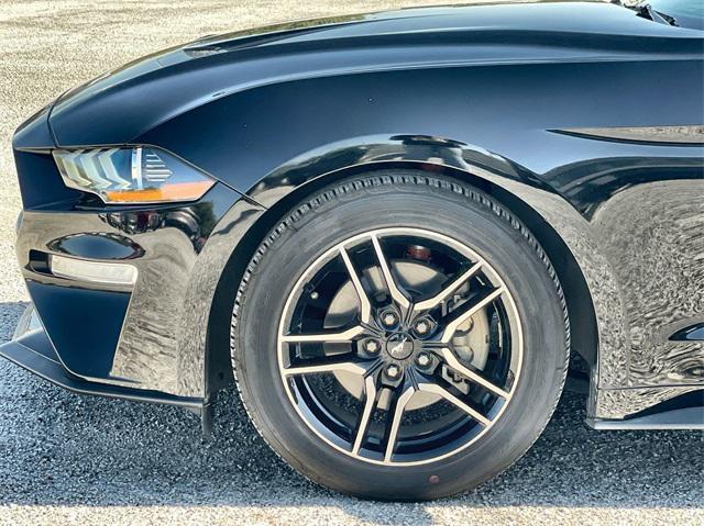 used 2019 Ford Mustang car, priced at $20,500