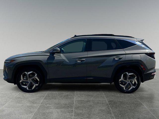 used 2024 Hyundai Tucson car, priced at $36,950