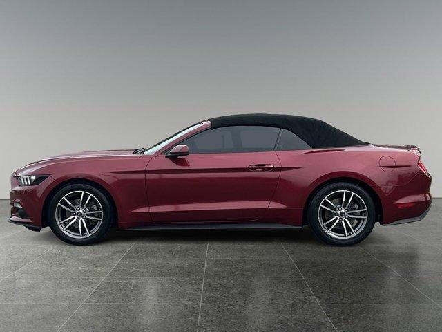 used 2017 Ford Mustang car, priced at $17,450