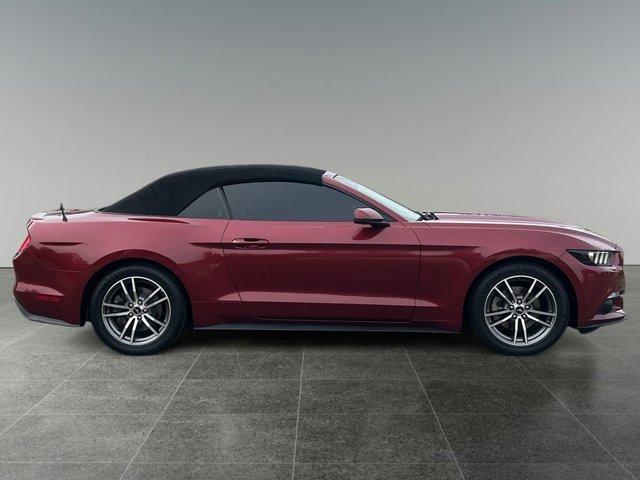 used 2017 Ford Mustang car, priced at $17,450