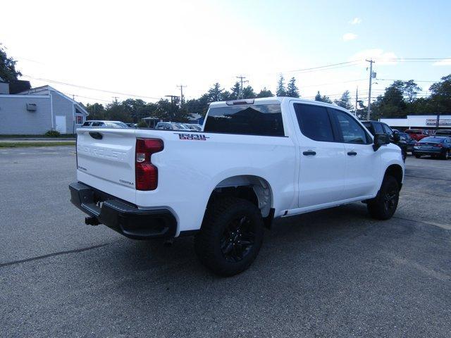 new 2024 Chevrolet Silverado 1500 car, priced at $49,060