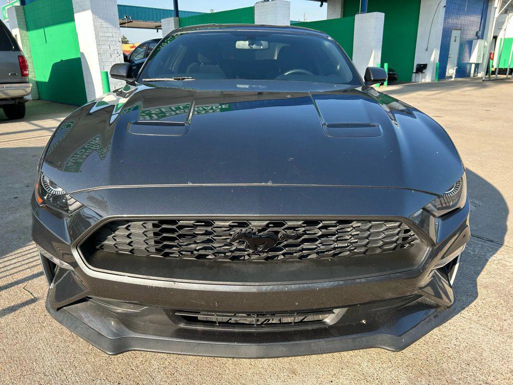 used 2019 Ford Mustang car, priced at $16,000