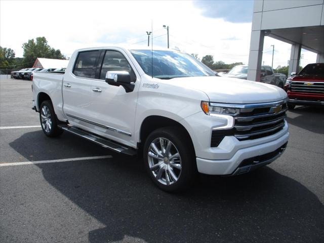 new 2025 Chevrolet Silverado 1500 car, priced at $64,999