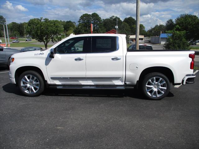 new 2025 Chevrolet Silverado 1500 car, priced at $64,999