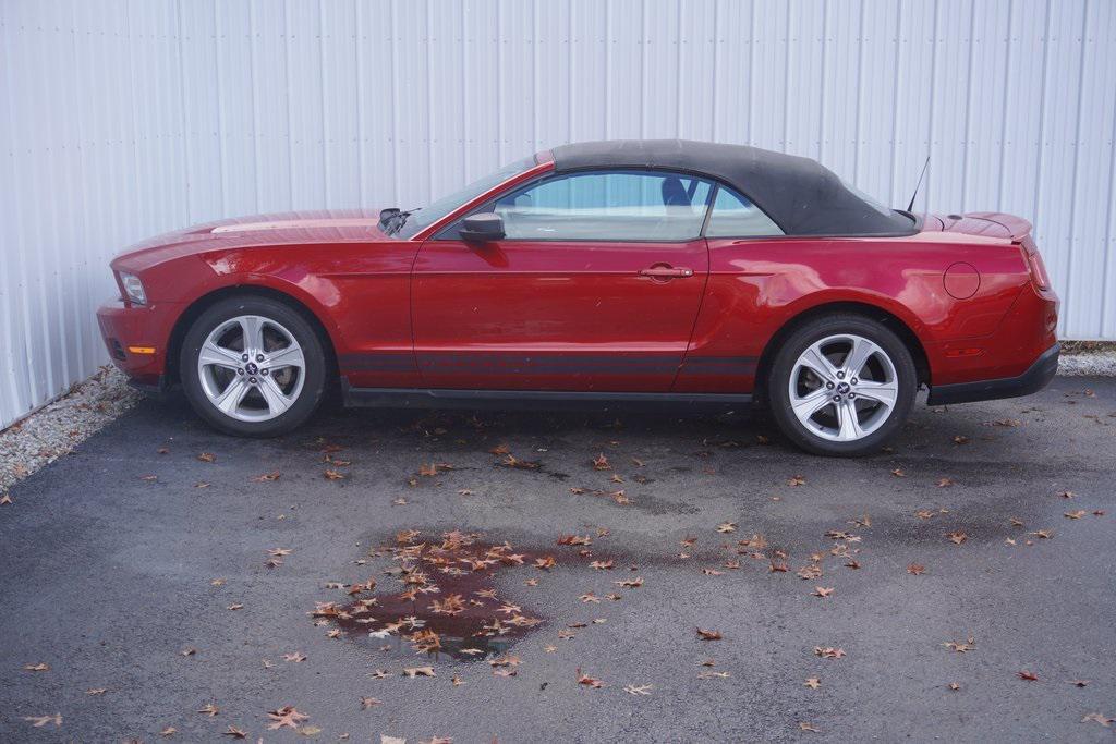used 2010 Ford Mustang car, priced at $10,900
