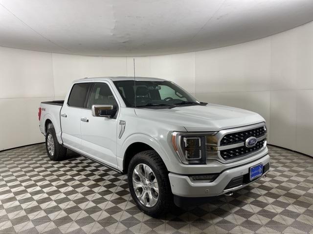 used 2023 Ford F-150 car, priced at $53,500