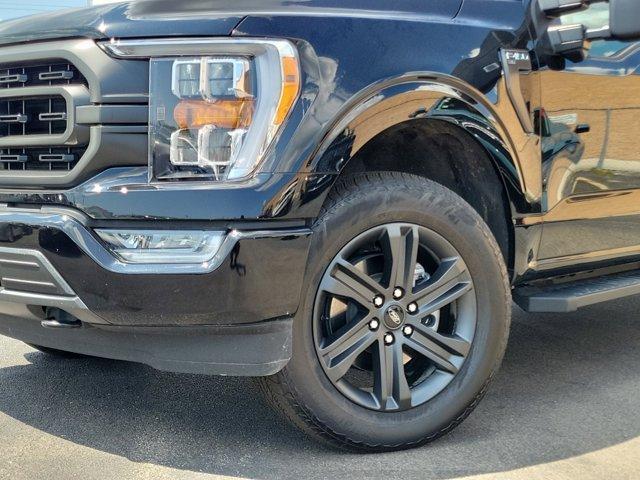 used 2023 Ford F-150 car, priced at $51,852