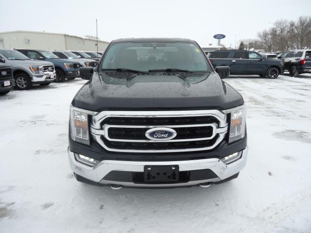 used 2021 Ford F-150 car, priced at $29,990