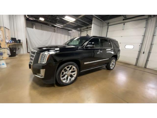 used 2019 Cadillac Escalade car, priced at $36,423