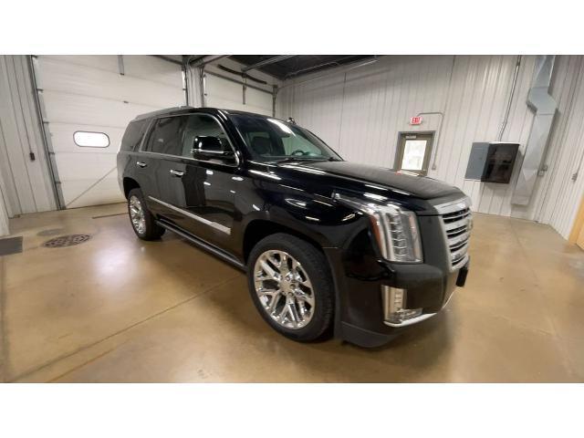 used 2019 Cadillac Escalade car, priced at $36,423