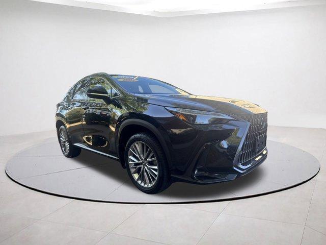 used 2023 Lexus NX 350 car, priced at $42,257